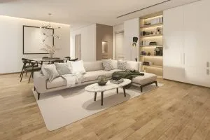 Limpieza y orden en el salón