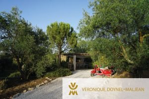 olivar villa lujosa ronda