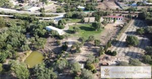 Fincas en venta en Andalucía | Veronique Doynel-Maljean